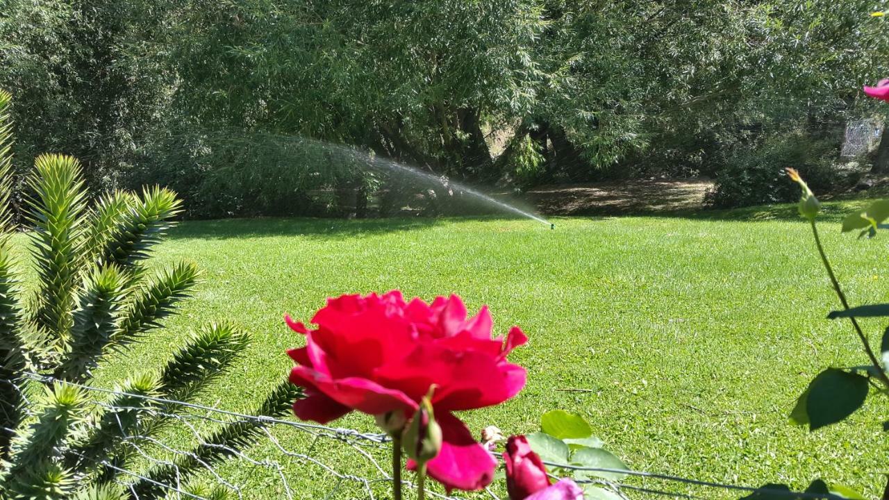 Dormi Del Pellin Hotel San Martin de los Andes Luaran gambar